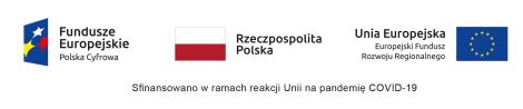 Na grafice znajdują się następujące logotypy: Logotyp Funduszy Europejskich, Flaga Rzeczpospolitej Polskiej oraz flaga Unii...